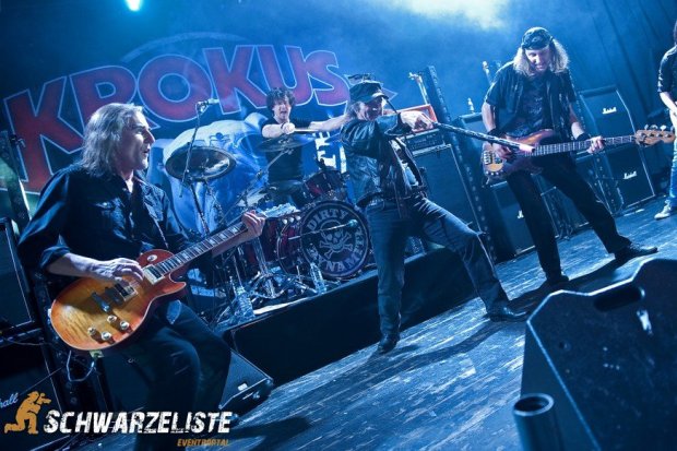 Krokus – die Fotos