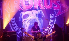 Krokus – die Fotos 8