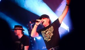 Krokus – die Fotos 16