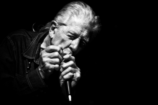 John Mayall kommt