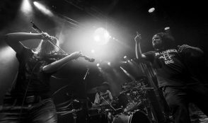 Eluveitie – die Fotos 46