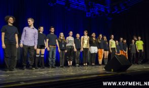 Solothurner Kleinkunsttag 16