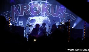 Krokus 14