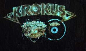 Krokus 11