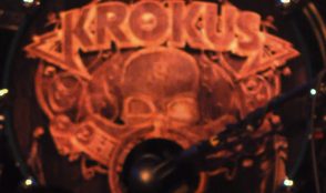 Krokus 18