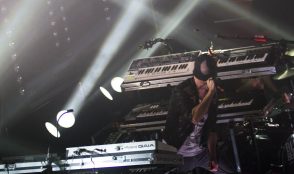 Bloody Beetroots 33