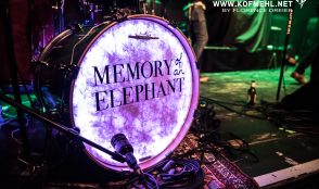 Memory of an Elephant 8