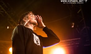 The Amity Affliction 11