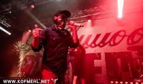 Hollywood Undead 14